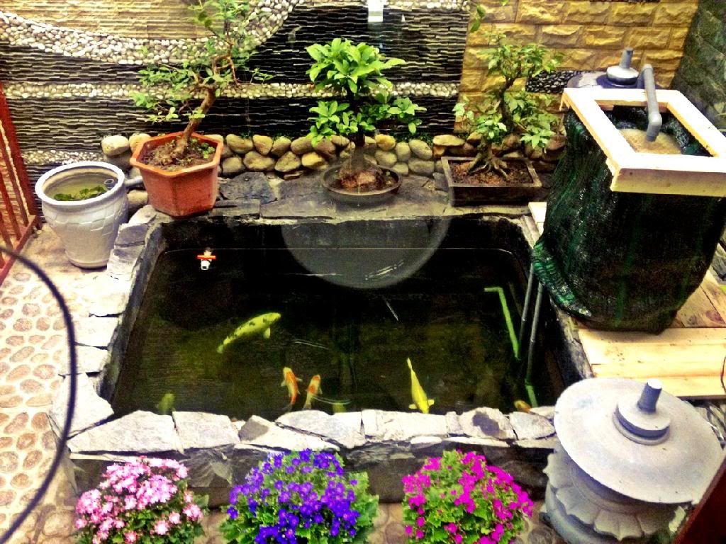 my save energy filter concept for koi pond
